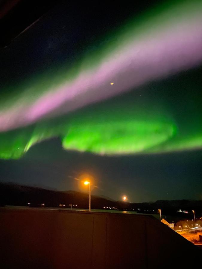 Lyngen, Mackay Appartment, Lyngen Lyngseidet Exterior foto